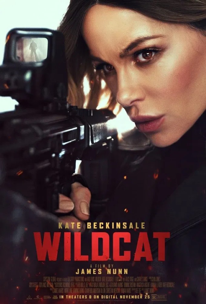 Wildcat